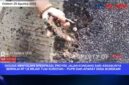 Foto ketika warga membongkar aspal yang mudah terkupas. Dan nampak lumpur serta kurangnya cairan aspal sebagai perekat 