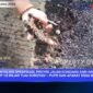 Foto ketika warga membongkar aspal yang mudah terkupas. Dan nampak lumpur serta kurangnya cairan aspal sebagai perekat 