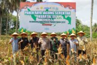 Foto istimewa 
