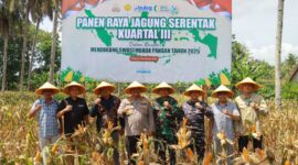 Foto istimewa 