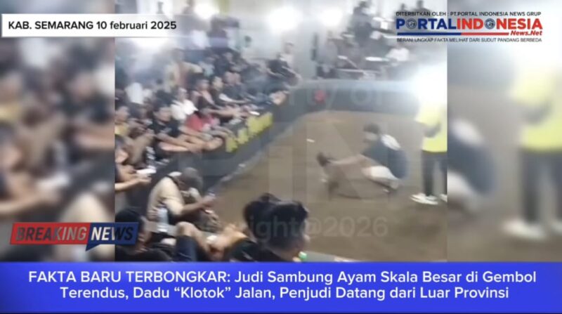 Foto ketika sabung ayam Berlangsung lali Dilanjutkan dengan judi Dadu di Gembol kecamatan Bawen kabupaten Semarang 