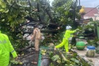 Foto :Polres Salatiga dan BPBD Kolaborasi Cepat Buka Akses Jalan Diponegoro 