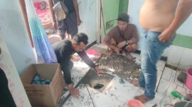 Foto: Ketika Polda Jateng Mencari Barang Bukti Narkoba memakai Jasa Sedot Wc