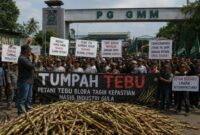 Foto : ilustrasi Ribuan Warga Siap Kepung PG GMM, Tagih Kepastian Nasib Industri Gula 