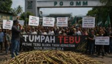 Foto : ilustrasi Ribuan Warga Siap Kepung PG GMM, Tagih Kepastian Nasib Industri Gula