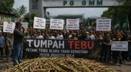 Foto : ilustrasi Ribuan Warga Siap Kepung PG GMM, Tagih Kepastian Nasib Industri Gula 