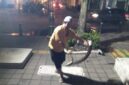 Foto: Penangkapan Ular Piton