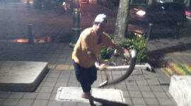 Foto: Penangkapan Ular Piton