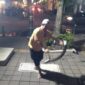 Foto: Penangkapan Ular Piton