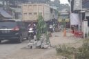 Foto : Jalan yang Rusak Sehingga Ditanami Pohon oleh masyarakat. Diduga karena kendaraan berbuatan berat yang mengangkut Hasil Tambang Galian C