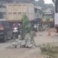 Foto : Jalan yang Rusak Sehingga Ditanami Pohon oleh masyarakat. Diduga karena kendaraan berbuatan berat yang mengangkut Hasil Tambang Galian C