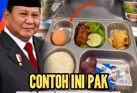 Foto: Contoh menu MBG yang tidak dikorupsi