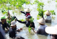 Foto: Kegiatan Penanaman Bibit Mangrove CSSMoRA UIN Walisongo Semarang