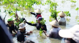 Foto: Kegiatan Penanaman Bibit Mangrove CSSMoRA UIN Walisongo Semarang