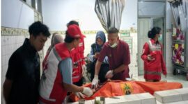 Foto: Mayat Bilqis